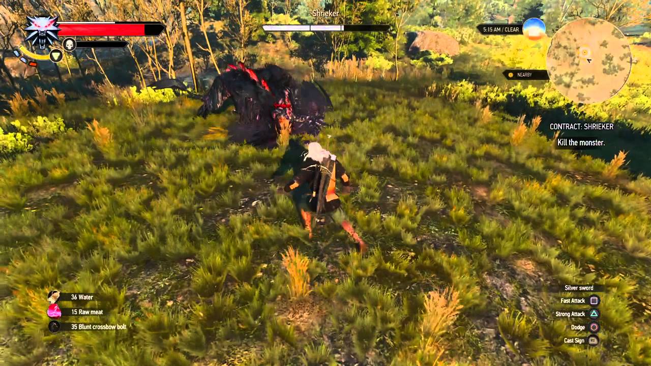 The Witcher 3 Wild Hunt Shrieker Death March Even Odds