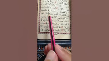 تعليم سورة الأنفال من 38 إلى 40