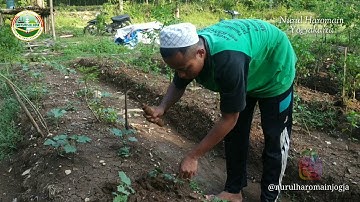 Agrobisnis | Nurul Haromain Yogyakarta | santri entrepreneur | santri agrobisnis | santri Keren