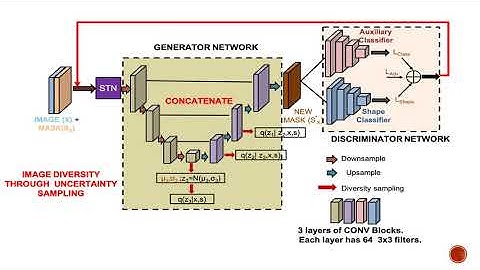 Pathological Retinal Region Segmentation From OCT Images Using Geometric Relation Based Augmentation