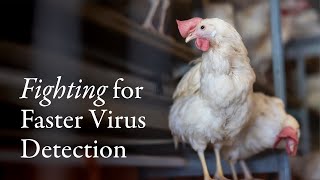 Fighting for Faster Virus Detection @NotreDame