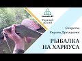 Горный Алтай рыбалка на хариуса