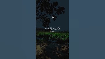 حالات وأتس أب قرآن / من سورة العلق بصوت القارئ محمد صديق المنشاوي رحمه الله #المنشاوي