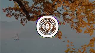 DR M B  Chris Linton   Fearless Funk  Funk  NCS   Copyright Free Music -  FFM freeflowmusic