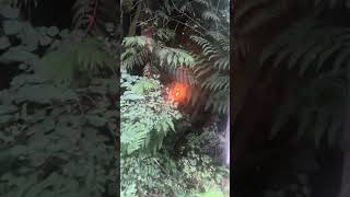 Fireworks and Forest Fires - #fireworks #forestfires #forestfire #wildfire #hiking #backpacking