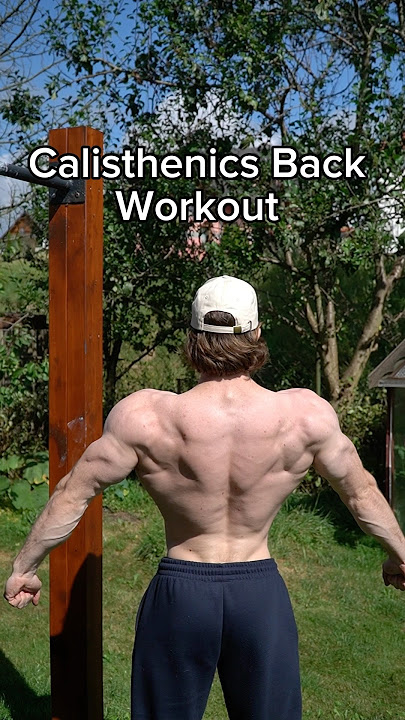 Calisthenics Workout Builds Anime Back #workout #calisthenics
