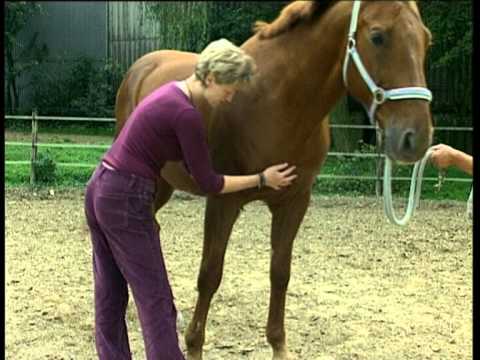 Tolle Braut beim Reiten 