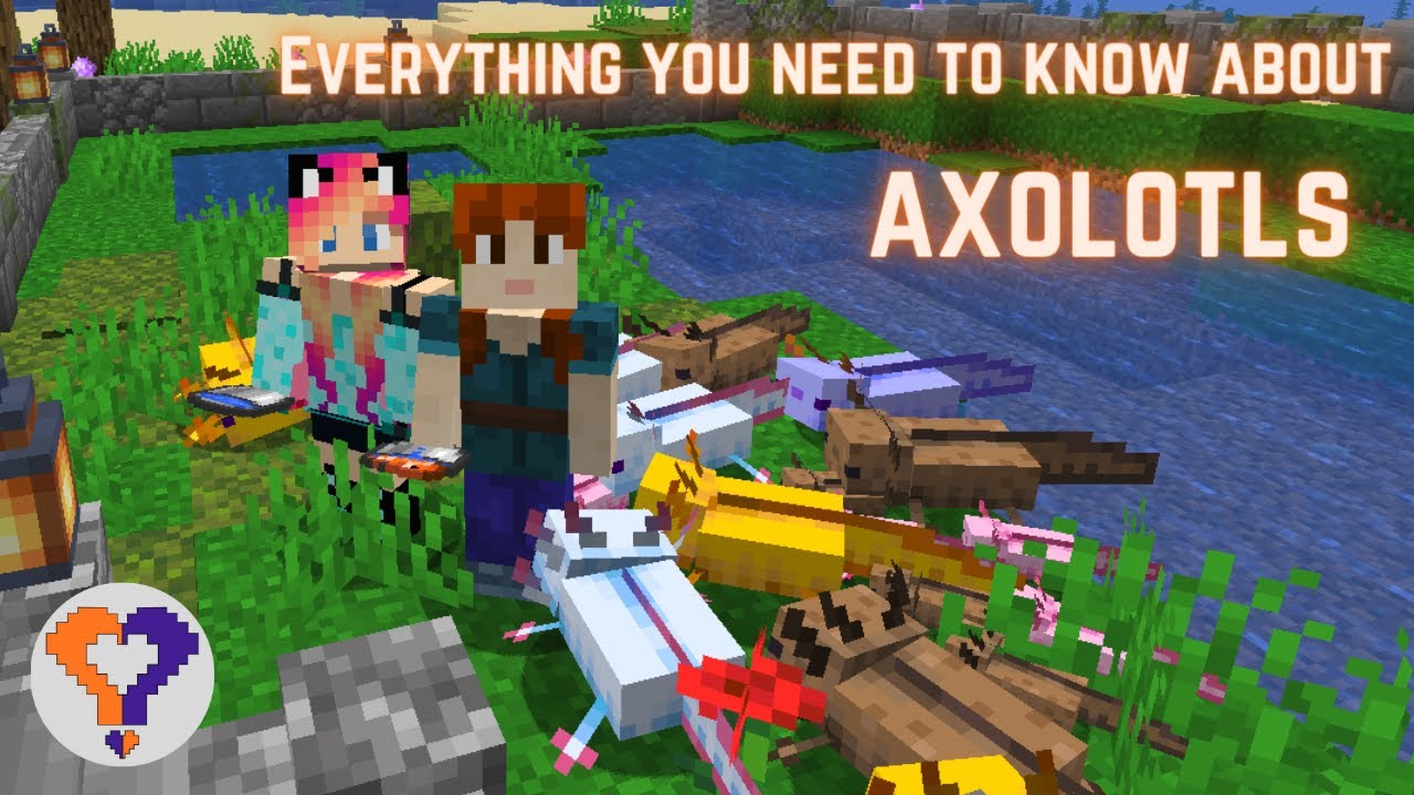 Everything You Need To Know About Axolotls In Minecraft A Minecraft