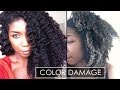 Why Heat + Color Damage SUCKS with Pictures | Natural Hair
