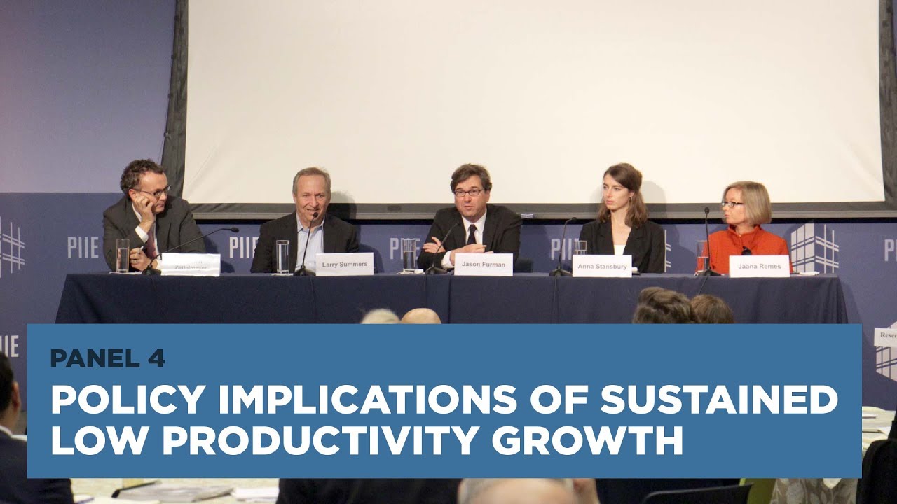 Policy Implications of Sustained Low Productivity Growth: Panel 4