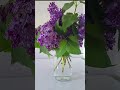 #Вода И Молодость # Полезная Вода ...