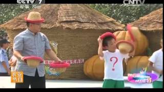 乡村大世界 《乡村大世界》 20141101 第6届新农村电视艺术节 优秀农村题材电视剧(上)