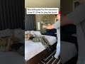 Pay back only takes 2 minutes