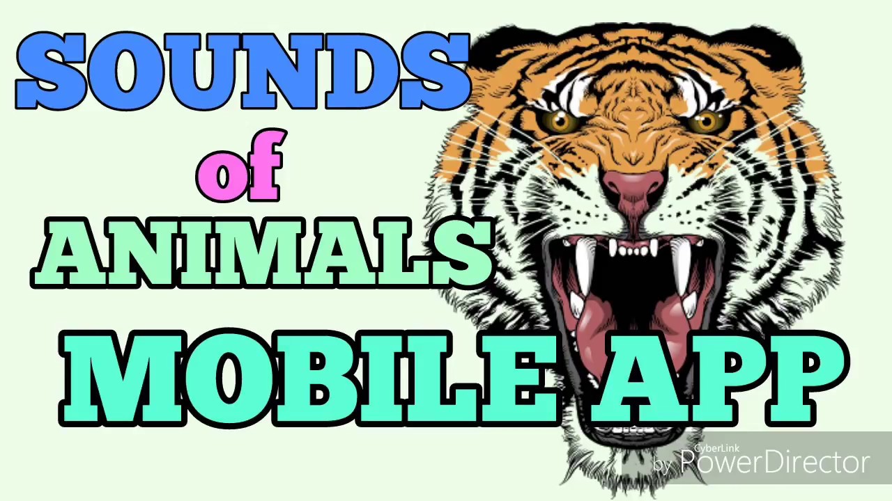 listening activity learn animal sounds and their names listening activity learn animal sounds and their names