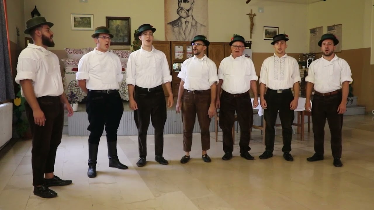 MPS ''Faši''   Novi Perkovci