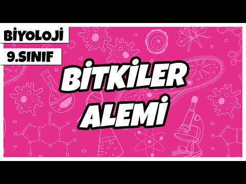 9. Sınıf Biyoloji - Bitkiler Alemi