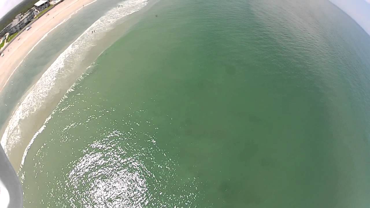 New Smyrna Beach With Manatee And Sharks Youtube