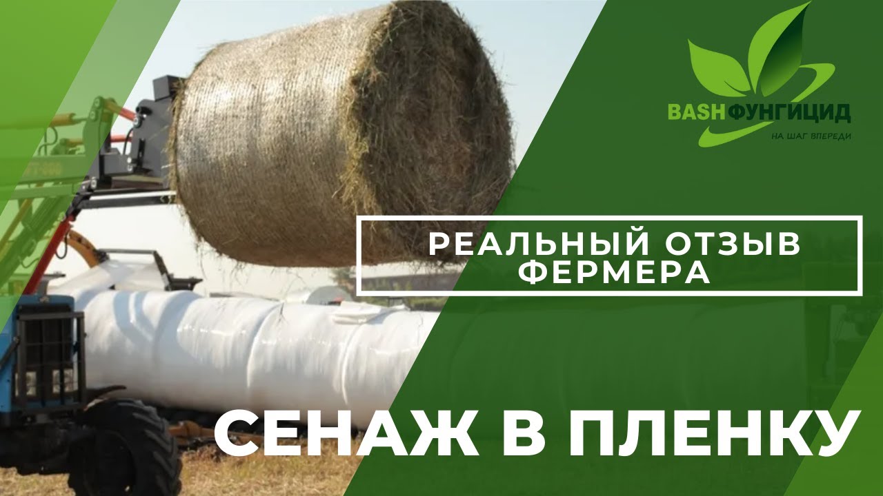 Очень Смешные Фото Женщин