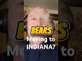 “Why the Bears Chose Hammond Indiana Over Chicago?
