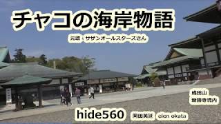 チャコの海岸物語 サザンオールスターズ hide560 成田山 千葉県 成田市