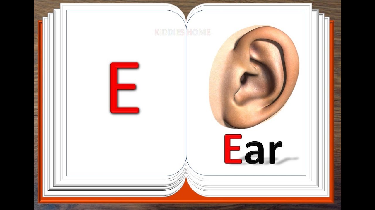 Words Start with Alphabet E, Alphabets ABC Kiddies Home YouTube