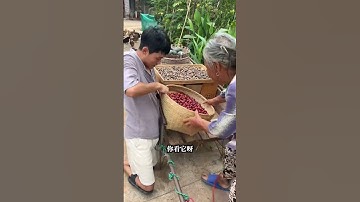 YouTube Team Please Don