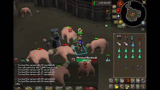 buccaneers' haven bloodvelds (120k slayer 325k ranged)
