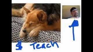 Knowmia teach screenshot 3