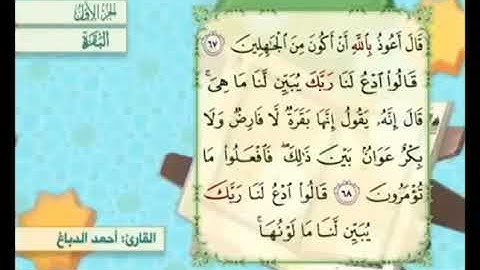 آية ٦٩ من سورة البقرة مكررة القارئ أحمد الدباغ