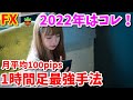 【FX聖杯】2022年おすすめの1時間足最強手法