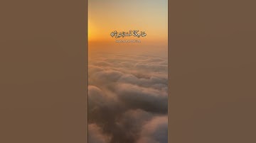 Verses Of Surah Abasa 34-42 English Translation | سورة عبس