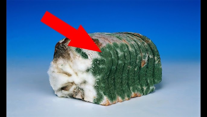 Жыныстық әйелдегі әйелдердің суреттері