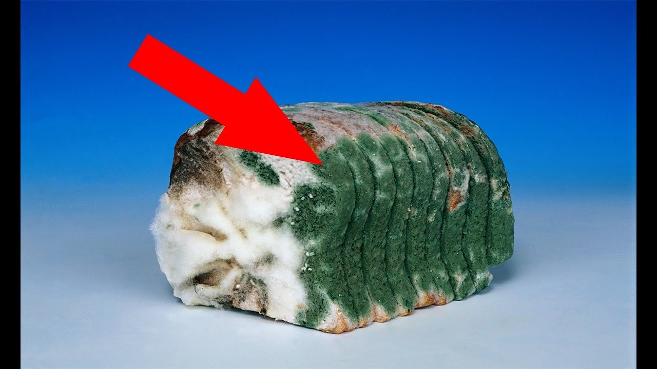 Пенистегі бұрышты азаптау Арзан бірақ әдемі көйлектер