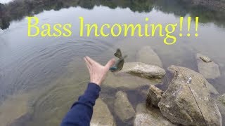 Pre-spawn Pond Bass MUNCH Rat-L-Traps! San Antonio Texas