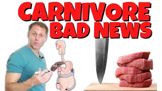 When is the Carnivore Diet a Mistake