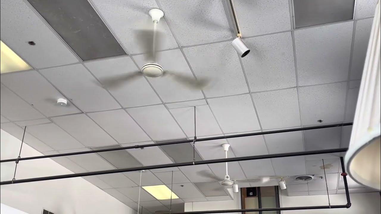 TPI Industrial Ceiling Fans At A Consignment Shop (Keene NH) YouTube