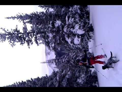 Back Country Skiing with Lola at Berthoud in the C...