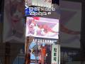 World famous 3D cats 🐈 Shinjuku Tokyo Japan 🇯🇵 #ytshorts #travel #japan #tokyotravel #2026short