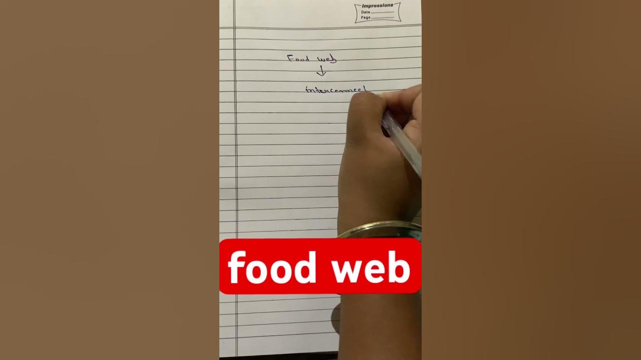 food-web-define-food-web-viral-ytshorts-viralshort-biology-youtube