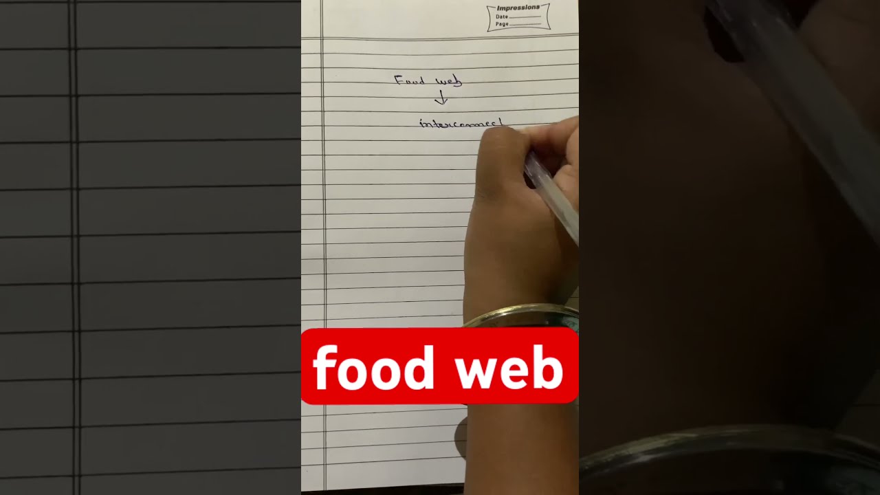 Food Web Define Food Web viral ytshorts viralshort biology YouTube Food Web Define Food Web viral ytshorts viralshort biology YouTube