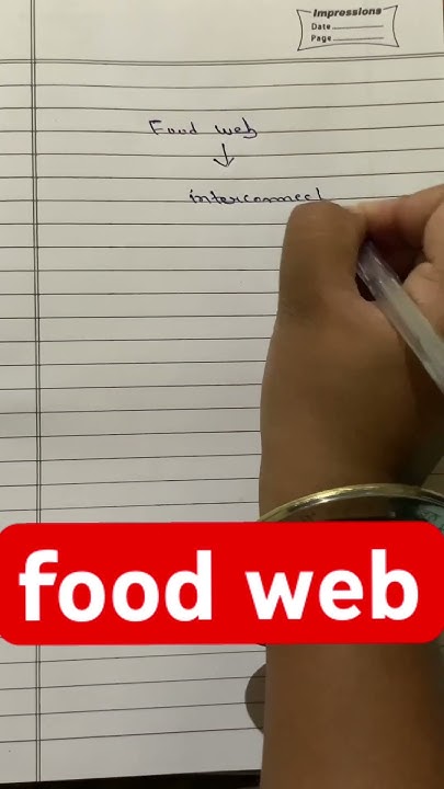 food-web-define-food-web-viral-ytshorts-viralshort-biology-youtube