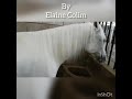 Tratamento de crina e rabo no Antares - By Elaine Colim