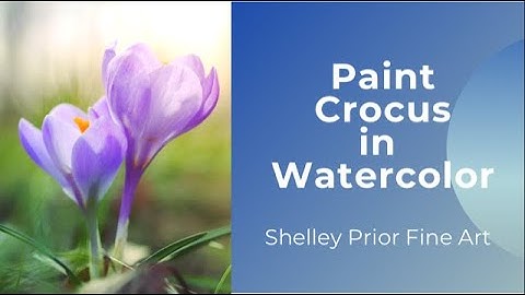Paint a Crocus in Watercolor