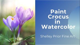 Paint a Crocus in Watercolor