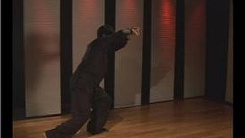 Kung Fu Fighting : Praying Mantis Palm Block Hook Punch