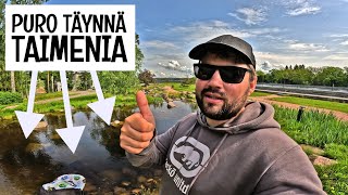KALATURISTINA IMATRALLA - BONGATAAN TAIMENIA JA KALASTETAAN KIRJOLOHTA