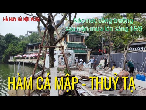 NÁO NỨC CÔNG TRƯỜNG HÀM CÁ MẬP - THUỶ TẠ NGAY SAU TRẬN MƯA LỚN SÁNG 16/
