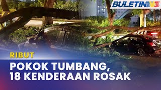 RIBUT | 18 Kenderaan Rosak Dihempap Pokok