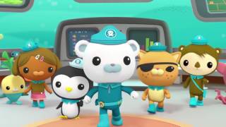 Octonauts: Creature Reports - Fiddler Crab