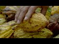 Best Organic Raw Cacao Nibs - Top 3 List for 2017 - YouTube